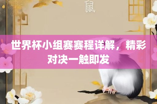 世界杯小组赛赛程详解，精彩对决一触即发