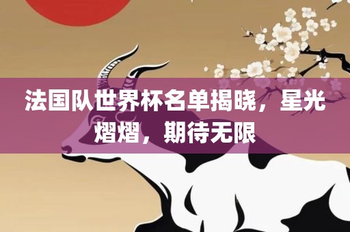 法国队世界杯名单揭晓，星光熠熠，期待无限