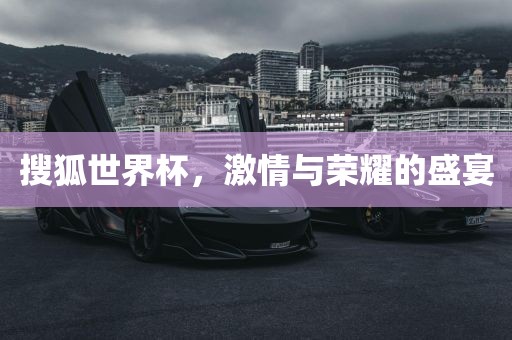 搜狐世界杯，激情与荣耀的盛宴