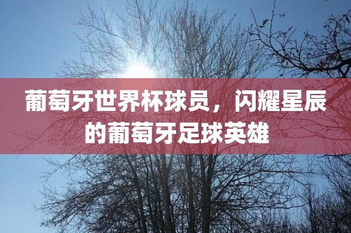 葡萄牙世界杯球员，闪耀星辰的葡萄牙足球英雄