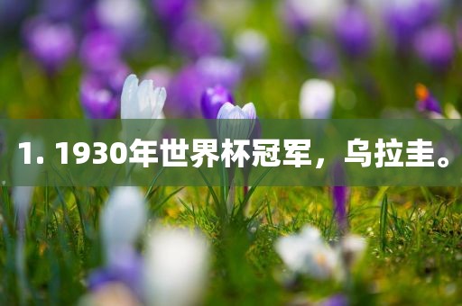 1. 1930年世界杯冠军，乌拉圭。
