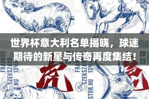 世界杯意大利名单揭晓，球迷期待的新星与传奇再度集结！漯河市盈旭机械设备有限公司