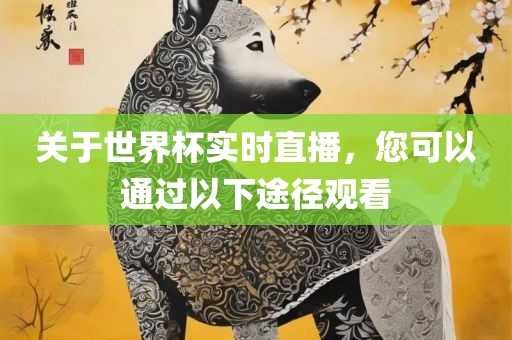 关于世界杯实时直播，您可以通过以下途径观看