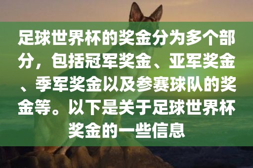 足球世界杯的奖金分为多个部分，包括冠军奖金、亚军奖金、季军奖金以及参赛球队的奖金等。以下是关于足球世界杯奖金的一些信息