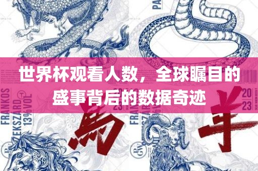 世界杯观看人数，全球瞩目的盛事背后的数据奇迹