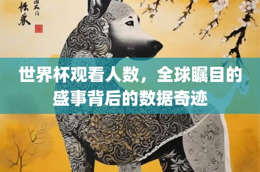 世界杯观看人数，全球瞩目的盛事背后的数据奇迹