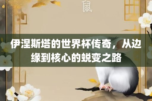 伊涅斯塔的世界杯传奇，从边缘到核心的蜕变之路