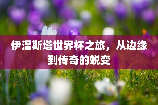 伊涅斯塔世界杯之旅，从边缘到传奇的蜕变