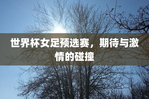 世界杯女足预选赛，期待与激情的碰撞漯河市盈旭机械设备有限公司