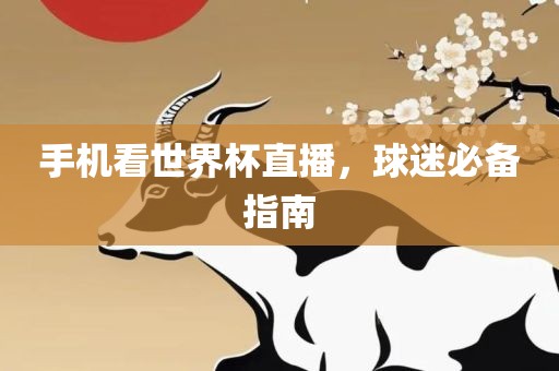 手机看世界杯直播，球迷必备指南漯河市盈旭机械设备有限公司