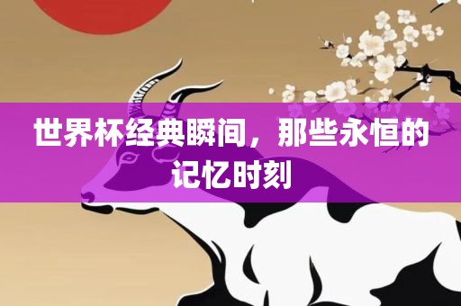 世界杯经典瞬间，那些永恒的记忆时刻