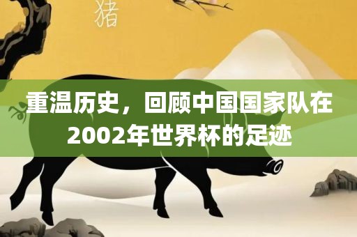 重温历史，回顾中国国家队在2002年世界杯的足迹