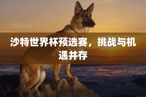 沙特世界杯预选赛，挑战与机遇并存