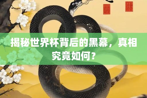 揭秘世界杯背后的黑幕，真相究竟如何？
