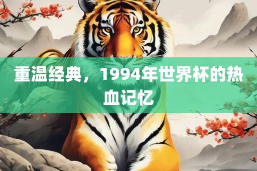 重温经典，1994年世界杯的热血记忆