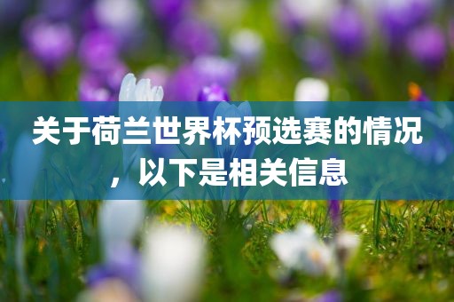 关于荷兰世界杯预选赛的情况，以下是相关信息漯河市盈旭机械设备有限公司