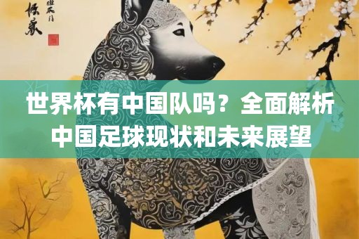 世界杯有中国队吗？全面解析中国足球现状和未来展望