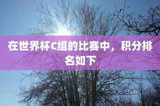 在世界杯C组的比赛中，积分排名如下漯河市盈旭机械设备有限公司