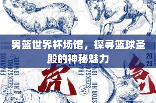 男篮世界杯场馆，探寻篮球圣殿的神秘魅力漯河市盈旭机械设备有限公司