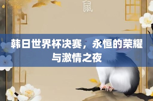 韩日世界杯决赛，永恒的荣耀与激情之夜