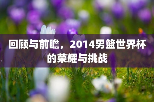 回顾与前瞻，2014男篮世界杯的荣耀与挑战