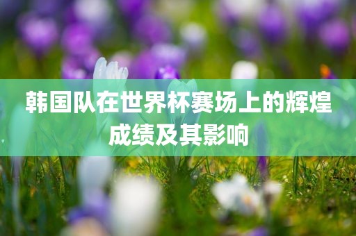 韩国队在世界杯赛场上的辉煌成绩及其影响漯河市盈旭机械设备有限公司