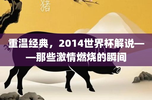 重温经典，2014世界杯解说——那些激情燃烧的瞬间