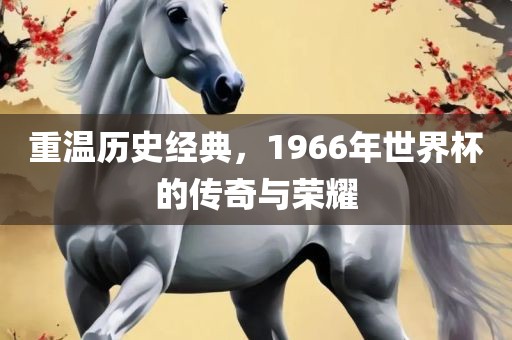 重温历史经典，1966年世界杯的传奇与荣耀