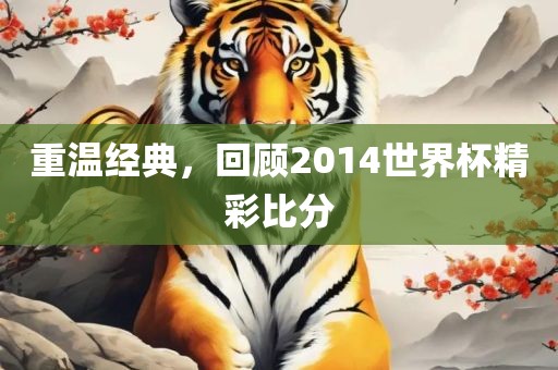 重温经典，回顾2014世界杯精彩比分漯河市盈旭机械设备有限公司