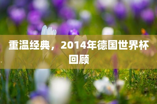 重温经典，2014年德国世界杯回顾