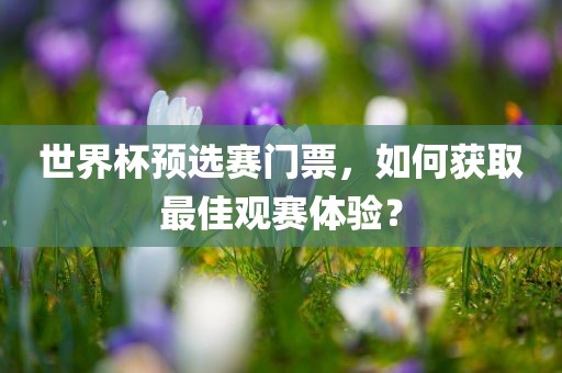 世界杯预选赛门票，如何获取最佳观赛体验？