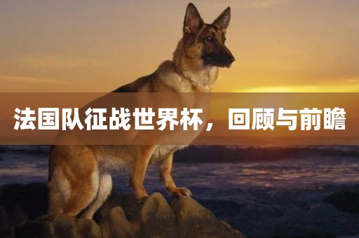 法国队征战世界杯，回顾与前瞻