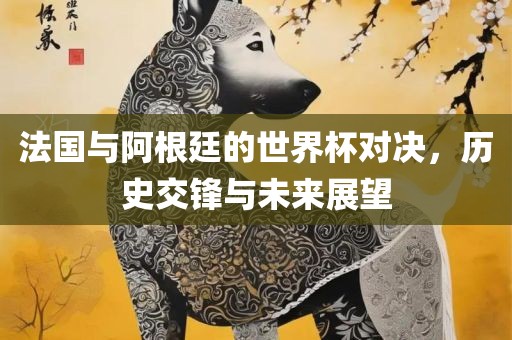 法国与阿根廷的世界杯对决，历史交锋与未来展望