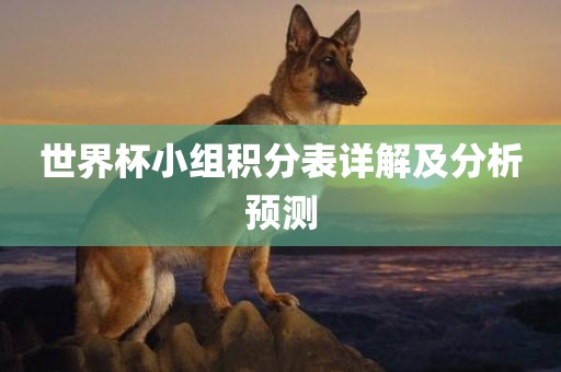 世界杯小组积分表详解及分析预测漯河市盈旭机械设备有限公司
