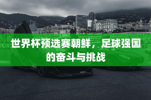 世界杯预选赛朝鲜，足球强国的奋斗与挑战漯河市盈旭机械设备有限公司