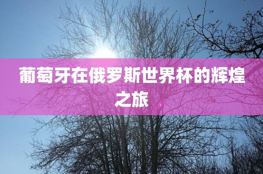 葡萄牙在俄罗斯世界杯的辉漯河市盈旭机械设备有限公司煌之旅