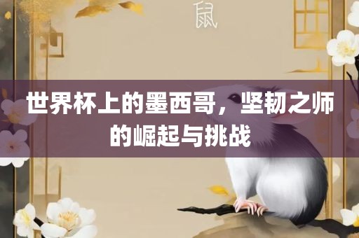 世界杯上的墨西哥，坚韧之师的崛起与挑战漯河市盈旭机械设备有限公司