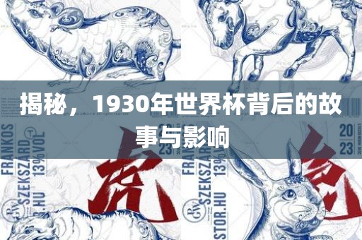 揭秘，1930年世界杯背后的故事与影响漯河市盈旭机械设备有限公司