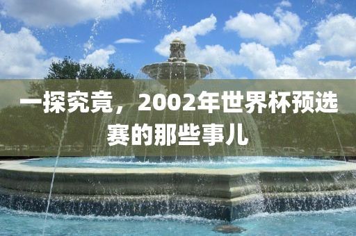 一探究竟，2002年世界杯预选赛的那些事漯河市盈旭机械设备有限公司儿