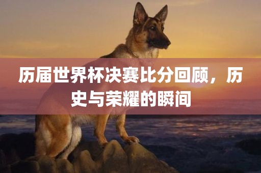 历届世界杯决赛比分回顾，历史与荣耀的瞬间