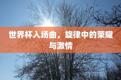 世界杯入场曲，旋律中的荣耀与激情