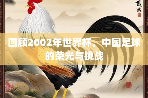 回顾2002年世界杯，中国足球的荣光与挑战