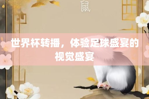 世界杯转播，体验足球盛宴的视觉盛宴