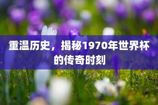 重温历史，揭秘1970年世界杯的传奇时刻