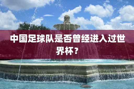 中国足球队是否曾经进入过世界杯？