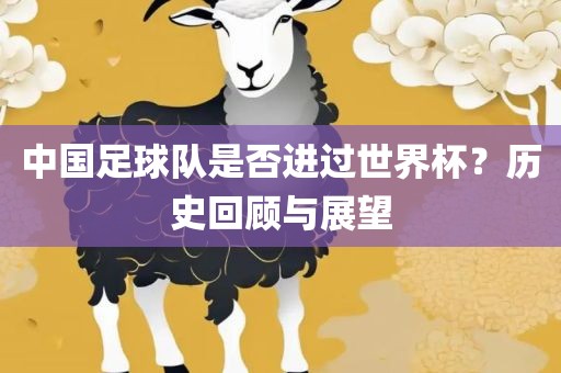 中国足球队是否进过世界杯？历史回顾与展望