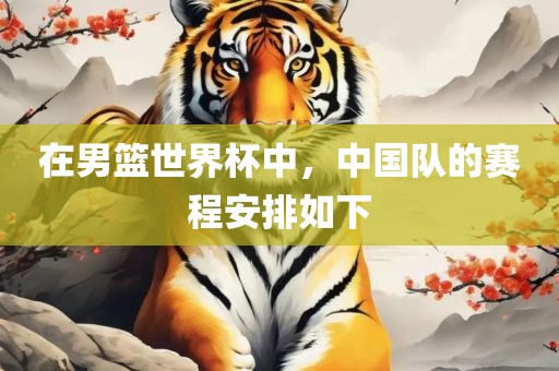 在男篮世界杯中，中国队的赛程安排如下