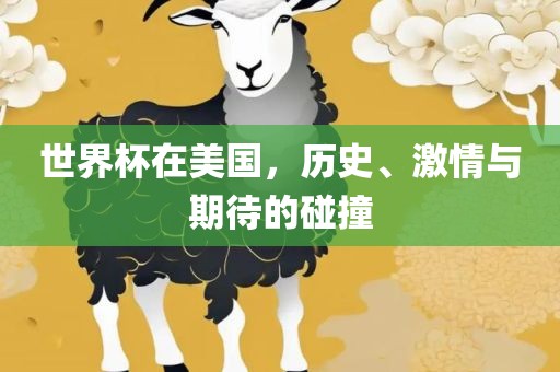 世界杯在美国，历史、激情与期待的碰撞