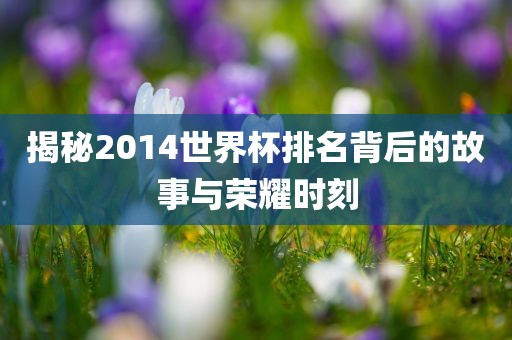 揭秘2014世界杯排名背后的故事与荣耀时刻漯河市盈旭机械设备有限公司