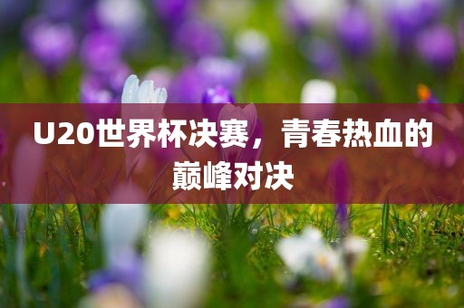 U20世界杯决赛，青春热血的巅峰对决